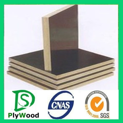 建筑模板廠家,建筑覆膜模板批發(fā) 盛大華宇木業(yè)圖片_高清圖_細(xì)節(jié)圖-臨沂市盛大華宇木業(yè) -