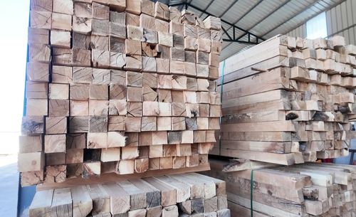 投資億元，新源添新綠——新疆新源縣現代化木材加工廠正式投產，引領木業高質量發展